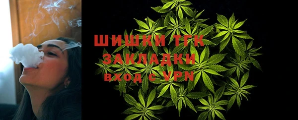 МДПВ Заволжск
