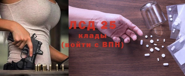 2c-b Ельня