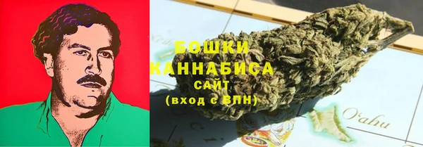 2c-b Ельня