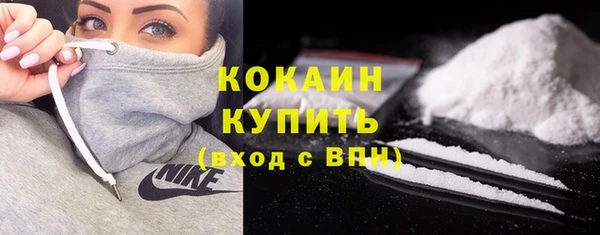 стафф Елизово