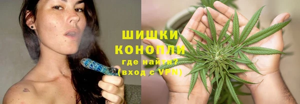 стафф Елизово