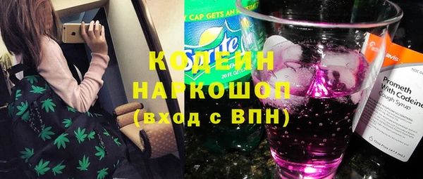 2c-b Ельня