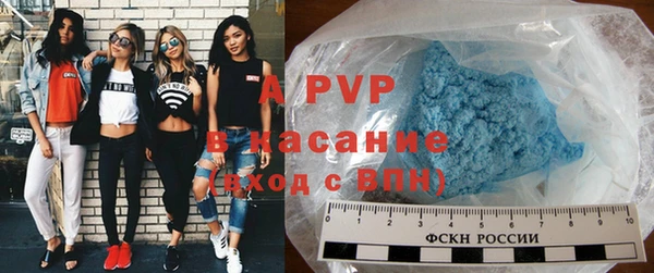 стафф Заводоуковск