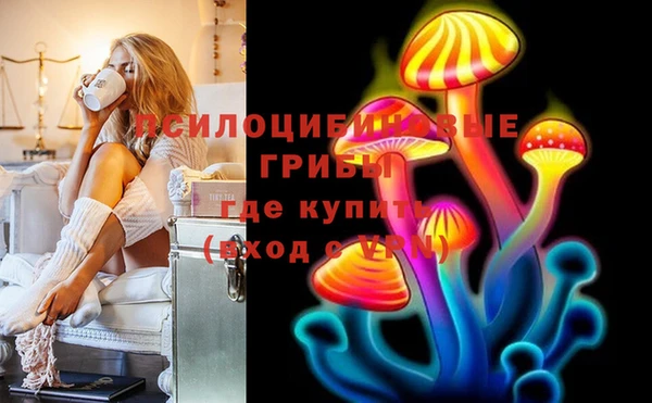 стафф Заводоуковск