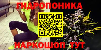 кокс Кандалакша