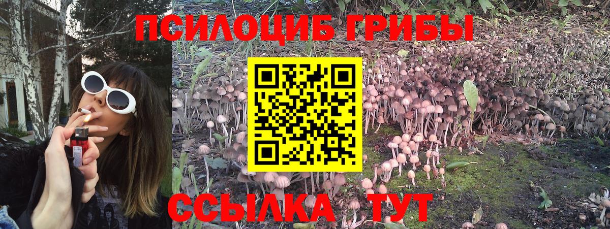 Галлюциногенные грибы GOLDEN TEACHER  купить наркотики сайты  Ишимбай  Вход с VPN 