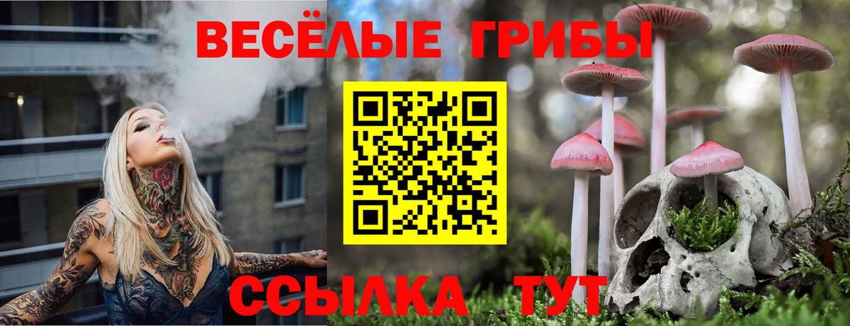 Галлюциногенные грибы GOLDEN TEACHER Ишимбай